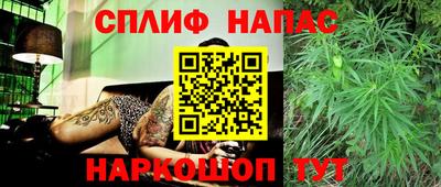 гашик Краснодар