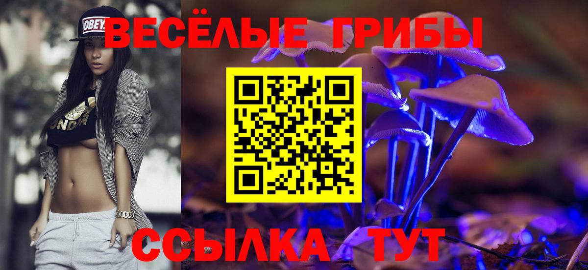 Галлюциногенные грибы Psilocybe  Вход с VPN  Шадринск  Галлюциногенные грибы прущие грибы 