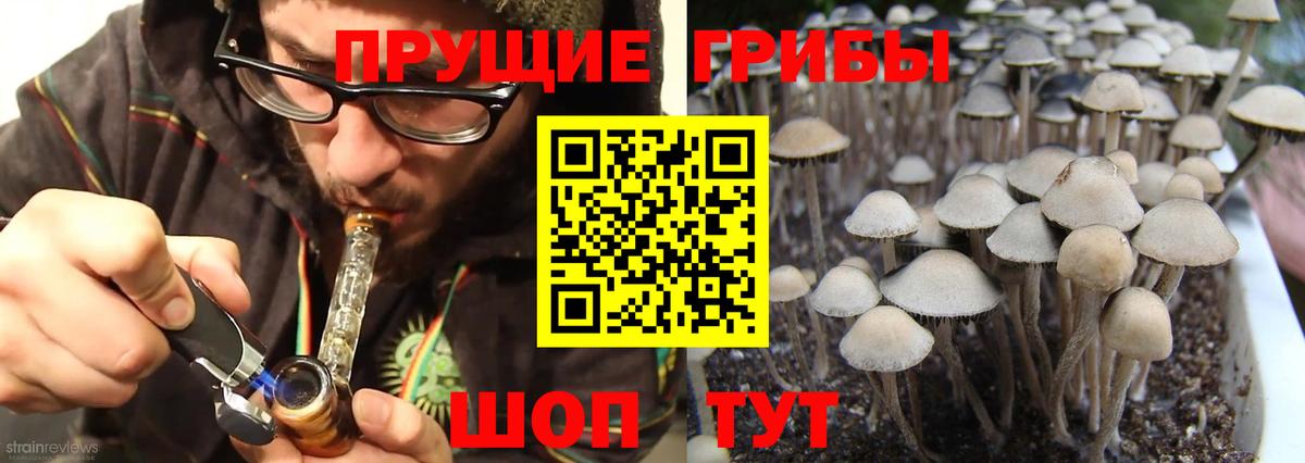 Псилоцибиновые грибы GOLDEN TEACHER Шадринск